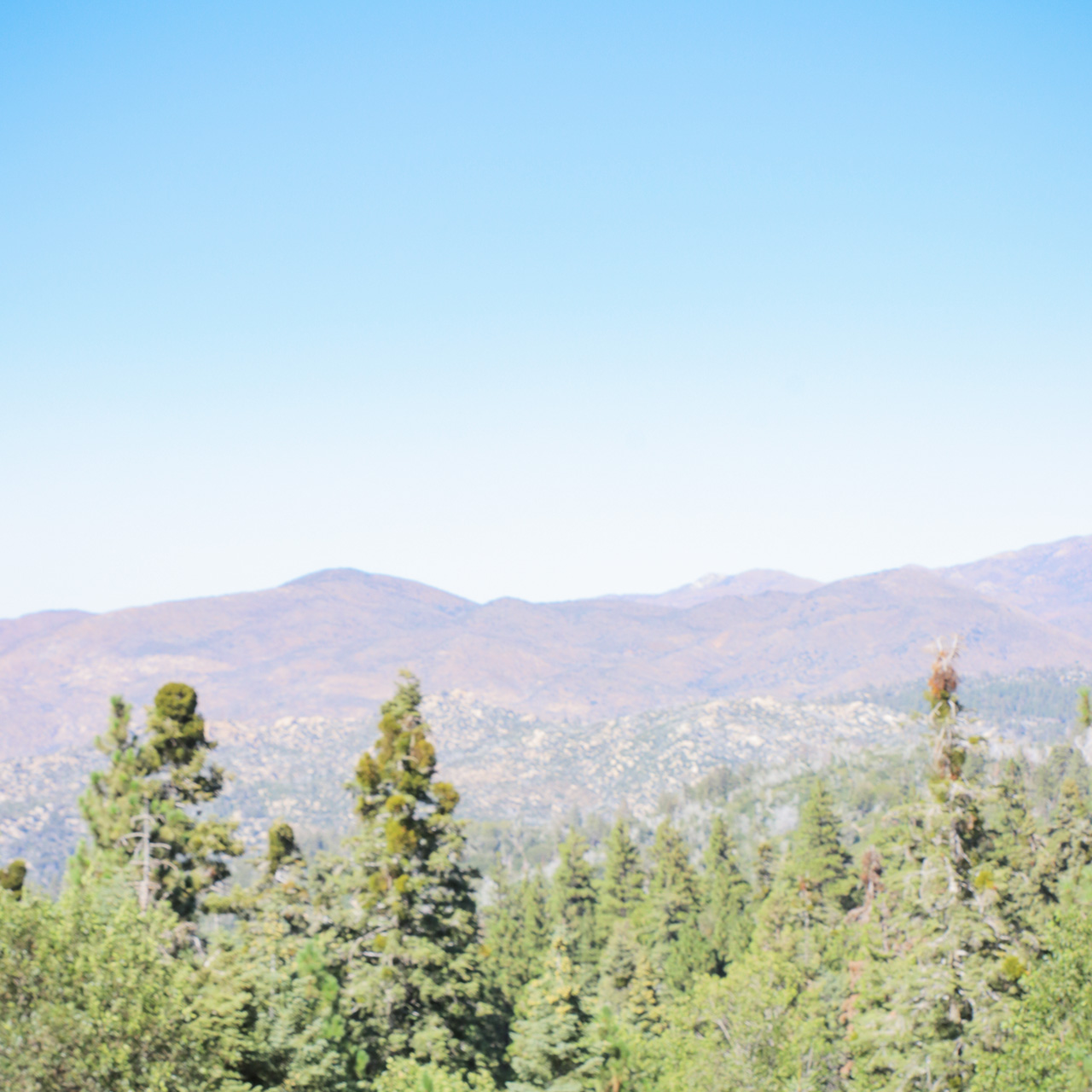 Skye Parral